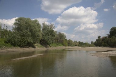 Almost dried inlet of a river in spring in the italian countryside