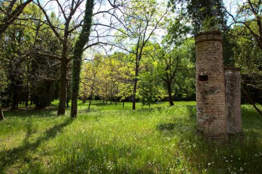 Remains of a manual water pump in the middle of a field in a park
