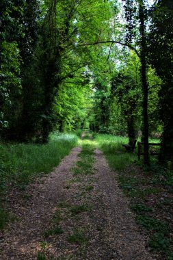 İtalya kırsalındaki bir parkta ağaçlarla çevrili gölgeli bir patika.