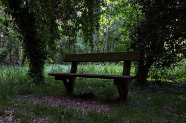 İtalya kırsalındaki bir parkta gölgede bankta.