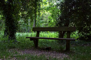 İtalya kırsalındaki bir parkta gölgede bankta.