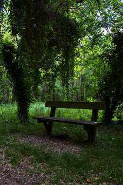 İtalya kırsalındaki bir parkta gölgede bankta.