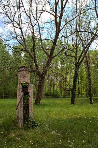 Überreste Einer Manuellen Wasserpumpe Mitten Auf Einem Feld Einem Park — Stockfoto