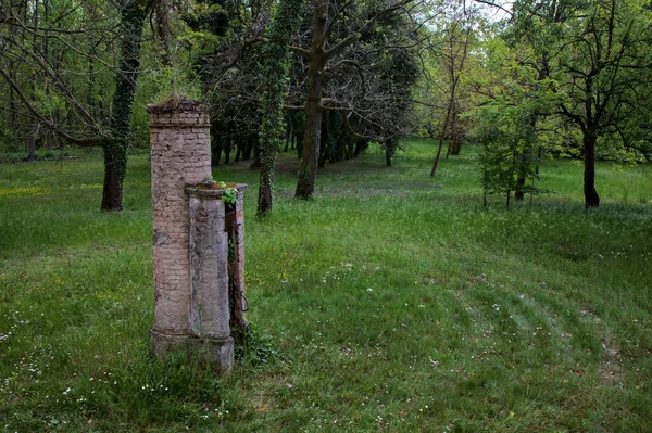 Остатки Ручного Водяного Насоса Посреди Поля Парке — стоковое фото