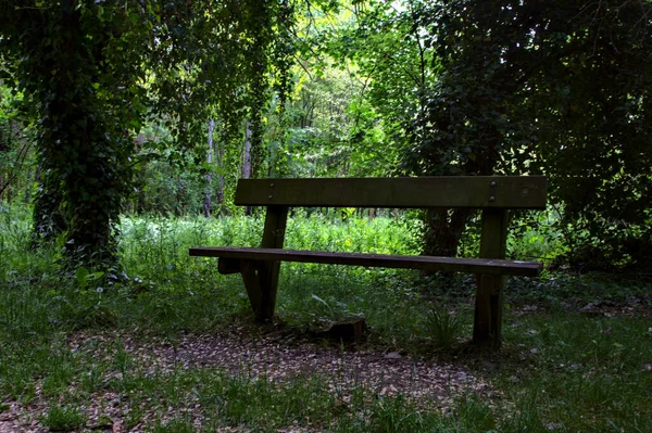 Bench Schaduw Een Park Het Italiaanse Platteland — Stockfoto