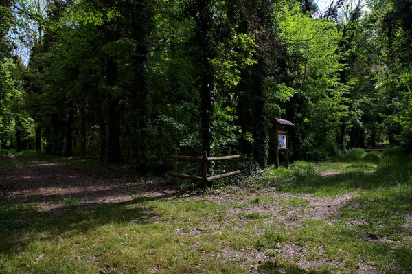 Перехрестя Між Двома Стежками Парку Італійській Сільській Місцевості — стокове фото