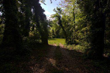 İtalya kırsalındaki bir parkta ağaçlarla çevrili gölgeli bir patika.