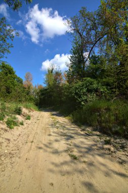 İtalya 'nın kırsal kesimindeki bir parkta kum yolu bir bar tarafından kapatılmış.