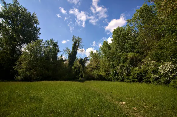 Percorso Campo Nel Mezzo Parco Nella Campagna Italiana — Foto Stock