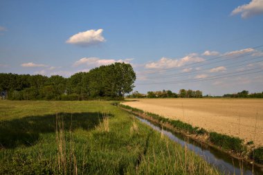 Pürüzlü bir tarlanın yanındaki su deresi. İlkbaharda İtalya 'nın kırsal kesimlerinde bir koruluk var.