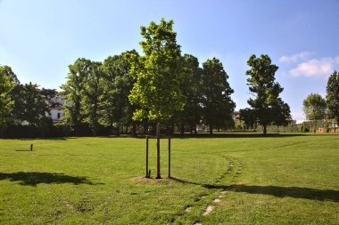 İtalya 'da bir parkta açık alan