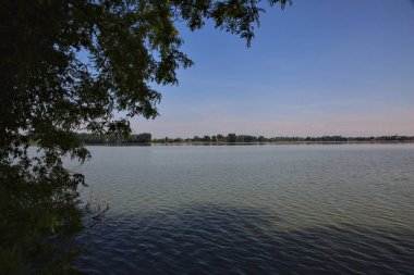 Çerçeveleyen nehir kıyısındaki ağaçlar