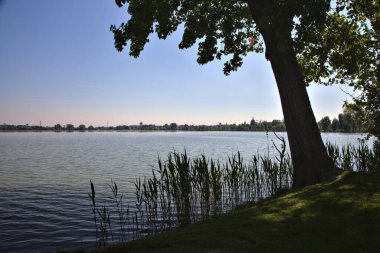 Çerçeveleyen nehir kıyısındaki ağaçlar