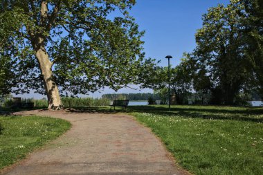 İlkbaharda bir İtalyan kasabasında halk parkında ağaçlarla çevrili bir yol.