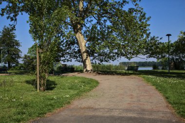 İlkbaharda bir İtalyan kasabasında halk parkında ağaçlarla çevrili bir yol.