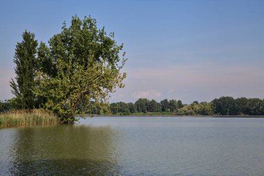 Üzerine uzanan bir nehrin kıyısı olan bir İtalyan kasabasına park et.