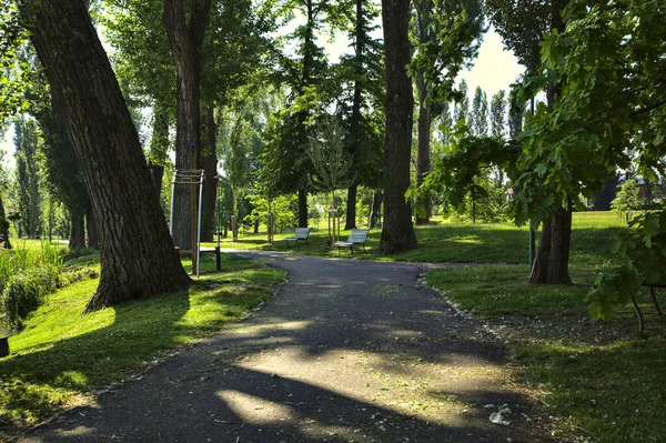 Cesta Lemovaná Stromy Veřejném Parku Italském Městě Jaře — Stock fotografie