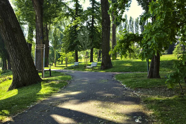 Ścieżka Granicząca Drzewami Parku Publicznym Włoskim Miasteczku Wiosną — Zdjęcie stockowe