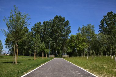 İlkbaharda İtalya kırsalında ağaçlarla çevrili bisiklet yolu