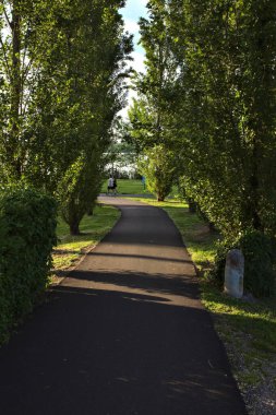 Gün batımında parkta ağaçlarla çevrili bisiklet yolu.