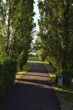 Gün batımında parkta ağaçlarla çevrili bisiklet yolu.