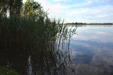 Baharda gün batımında gölgede bir gölün kıyısında