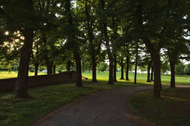 Gün batımında parkta ağaçlarla çevrili bisiklet yolu.