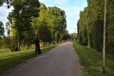 Bisikletli bir adam gün batımında parkta bisiklet yolunun kenarında.