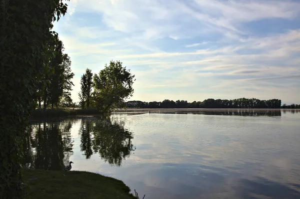 Kust Van Een Meer Schaduw Bij Zonsondergang Het Voorjaar — Stockfoto