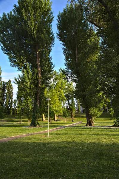 Fietspad Omzoomd Door Bomen Een Park Bij Zonsondergang — Stockfoto