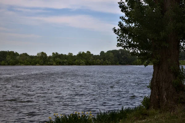 春天多云多风的日子里 湖畔的湖水 — 图库照片
