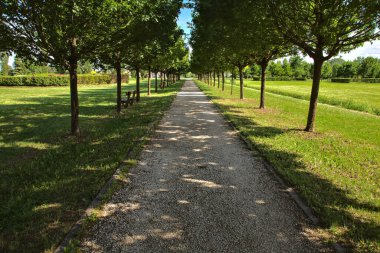 Ağaçlarla çevrili bir parkta, gölgeli bir yol.