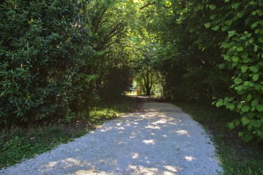 Güneşli bir günde, İtalya kırsalındaki bir parkta gölgeli bir patika.