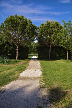 İtalya 'nın kırsal kesimindeki bir parkta iki deniz çamı tarafından işaretlenen açık bir alana giden yol.