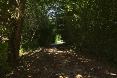 Güneşli bir günde, İtalya kırsalındaki bir parkta gölgeli bir patika.