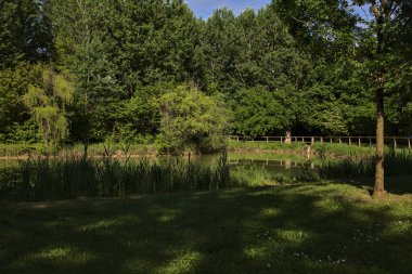 İlkbaharda ağaçlarla çevrili bir gölet İtalya kırsalındaki bir parkta.