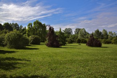 Baharda güneşli bir günde İtalya 'nın kırsal kesimindeki parkta açık alan