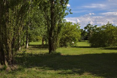 Baharda güneşli bir günde İtalya 'nın kırsal kesimindeki parkta açık alan