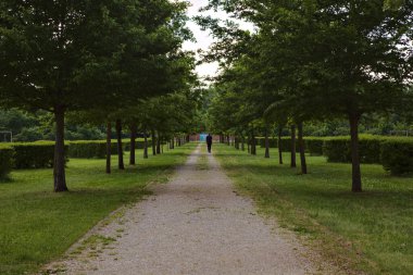 Parkta ağaçlarla çevrili patikada yürüyen bir adam var.