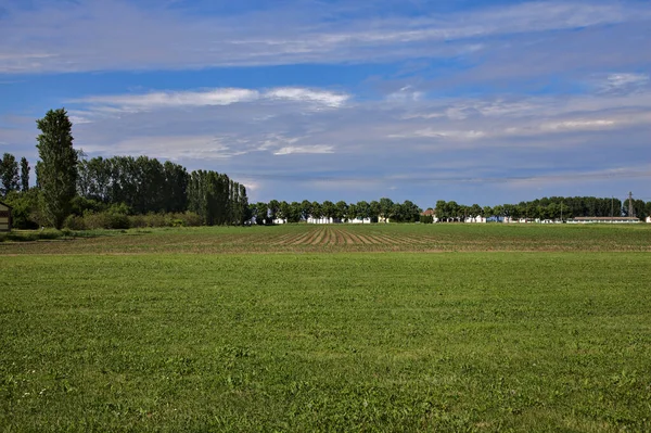 Espaço Aberto Lado Campo Cultivado Zona Rural Italiana — Fotografia de Stock