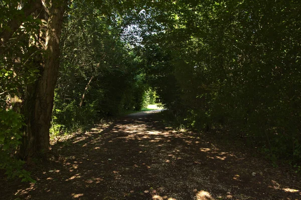 Güneşli bir günde, İtalya kırsalındaki bir parkta gölgeli bir patika.