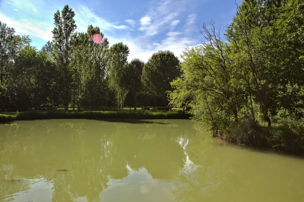 Lagoa Delimitada Por Árvores Primavera Parque Paisagem Italiana — Fotografia de Stock