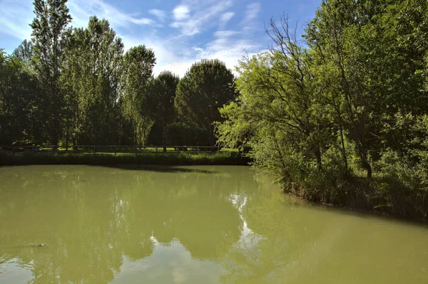 イタリアの田舎の公園で春に木に囲まれた池 — ストック写真