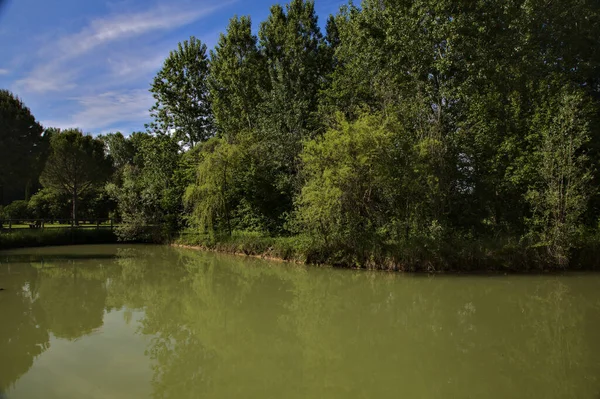 イタリアの田舎の公園で春に木に囲まれた池 — ストック写真