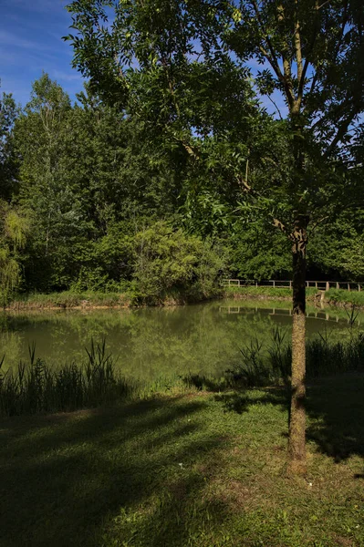 イタリアの田舎の公園で春に木に囲まれた池 — ストック写真