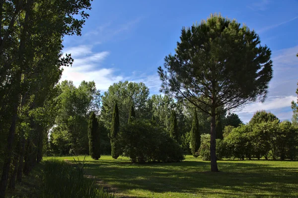 Espace Ouvert Dans Parc Campagne Italienne Printemps Par Une Journée — Photo