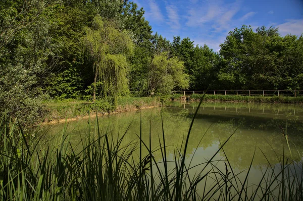 Estanque Bordeado Árboles Primavera Parque Campo Italiano — Foto de Stock