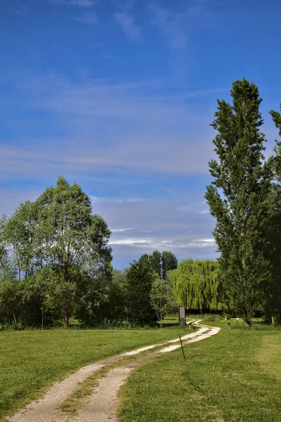 Percorso Ghiaia Parco Nella Campagna Italiana Primavera Una Giornata Sole — Foto Stock