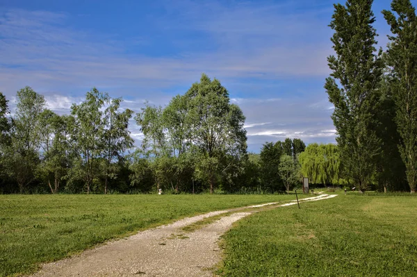 Ścieżka Żwirowa Parku Włoskiej Wsi Wiosną Słoneczny Dzień — Zdjęcie stockowe
