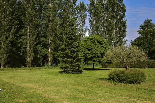 Open Space Einem Park Der Italienischen Landschaft Frühling Einem Sonnigen — Stockfoto